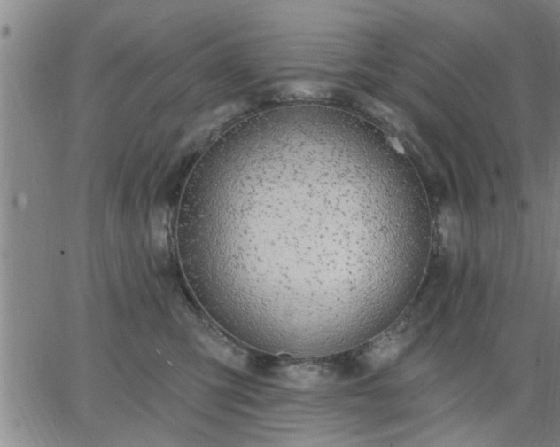 X0000063450423200601271544