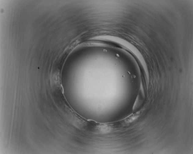 X0000063450425200601271544