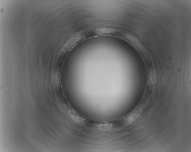 X0000063450426200601271544