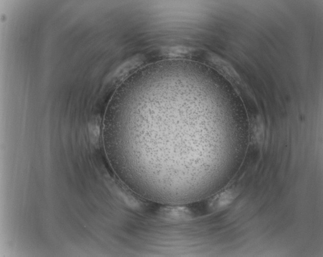 X0000063450427200601271544