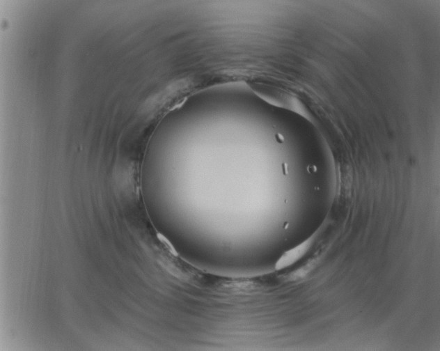 X0000063450428200601271544