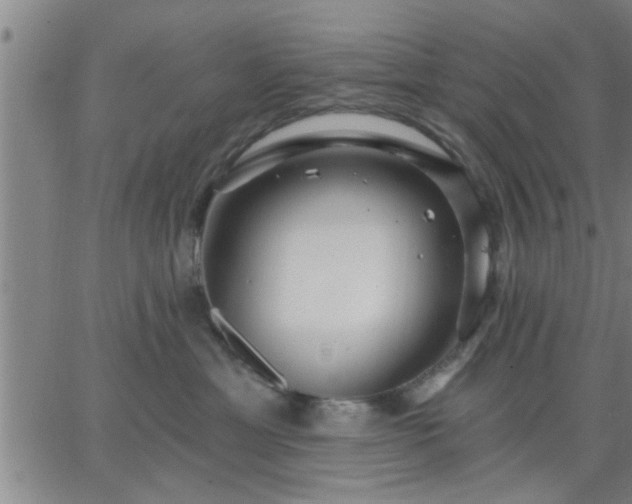 X0000063450429200601271544