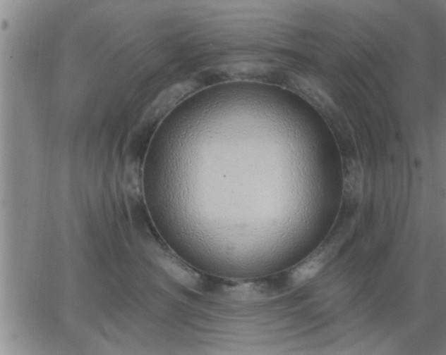 X0000063450430200601271544