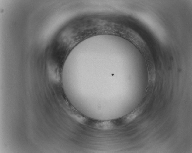 X0000063450431200601271544