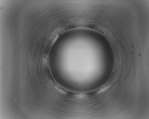 X0000063450432200601271544