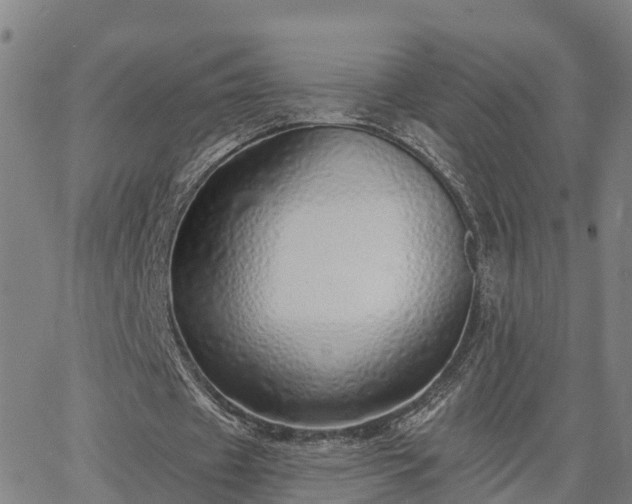 X0000063450433200601271543