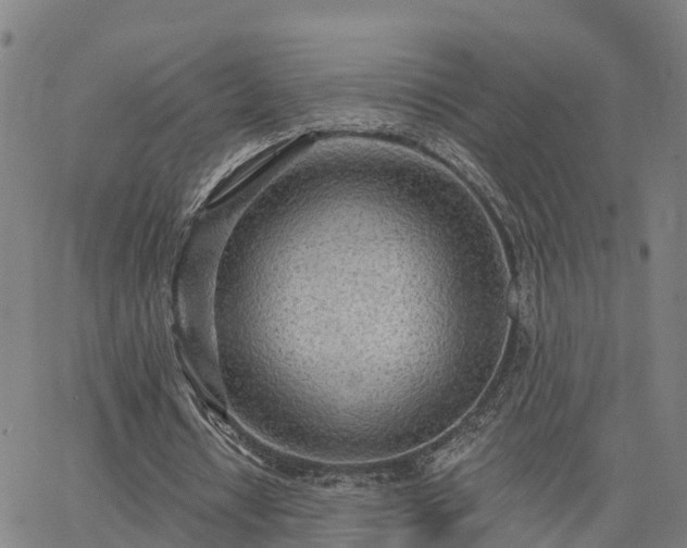 X0000063450434200601271543