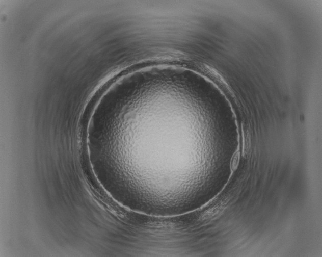 X0000063450435200601271543