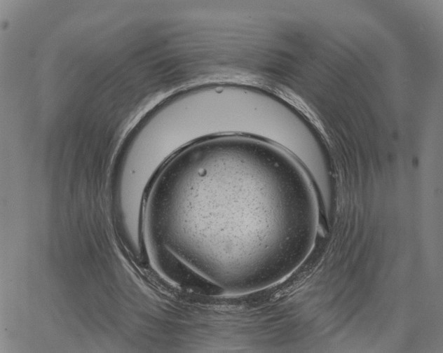 X0000063450436200601271543