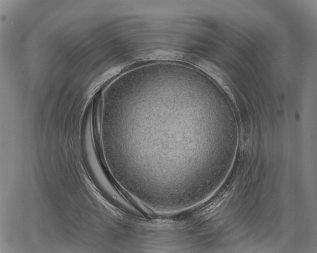 X0000063450437200601271543