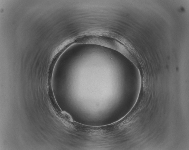 X0000063450438200601271543