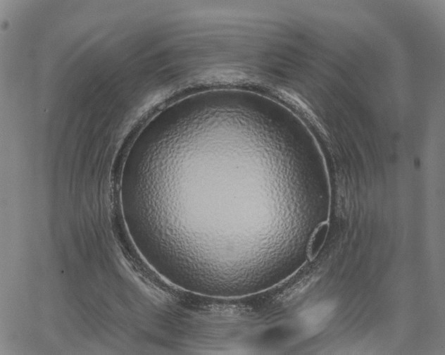 X0000063450439200601271543