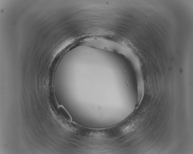 X0000063450440200601271543