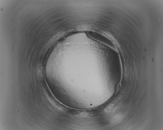 X0000063450441200601271543