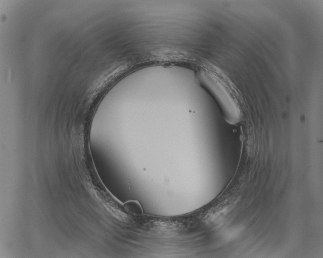 X0000063450442200601271543