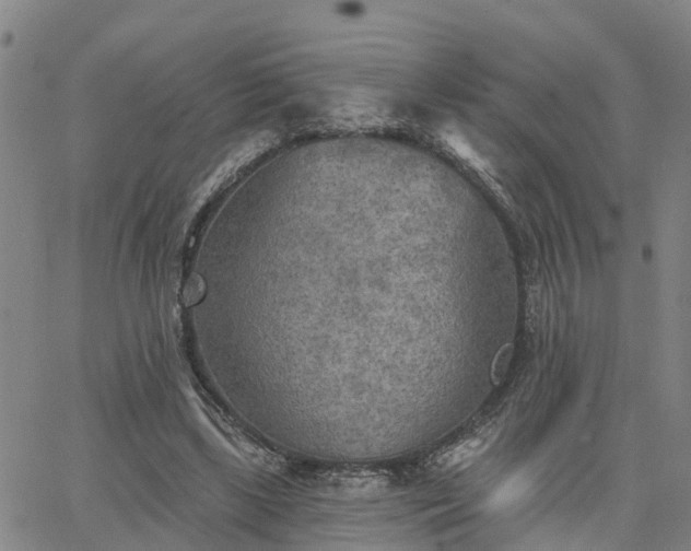 X0000063450443200601271543