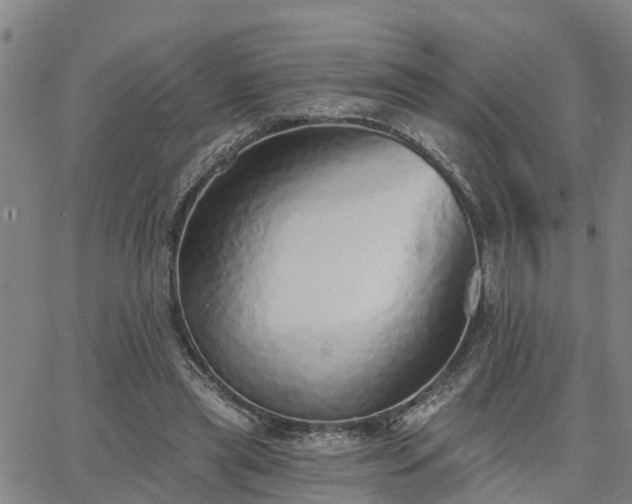 X0000063450445200601271543