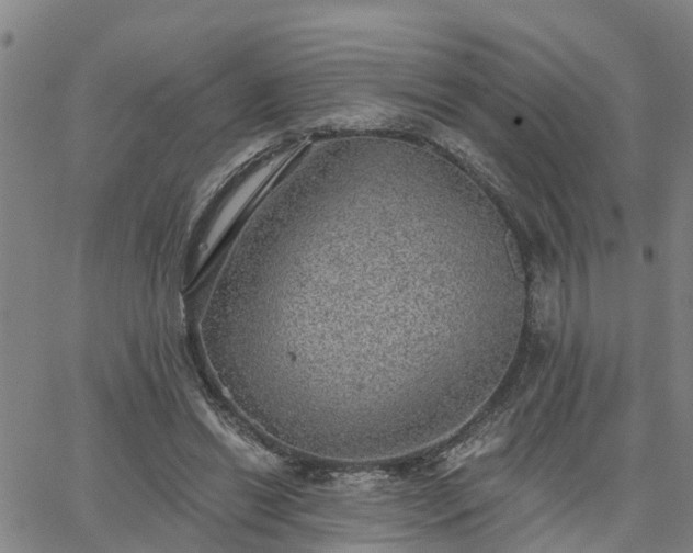 X0000063450446200601271543