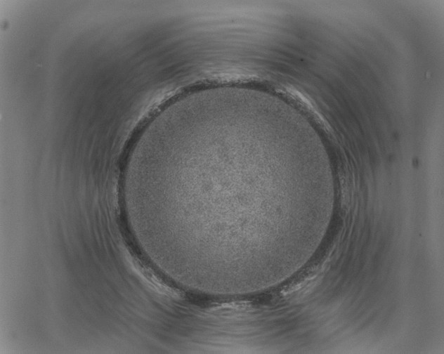 X0000063450447200601271543