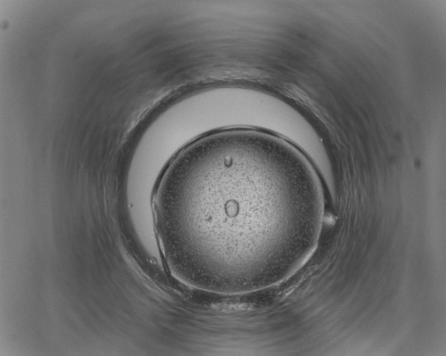 X0000063450448200601271543