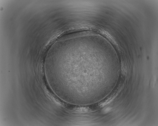 X0000063450449200601271543