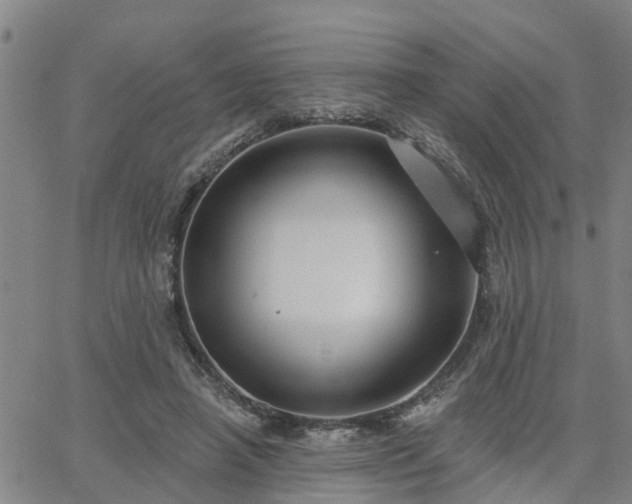 X0000063450450200601271543