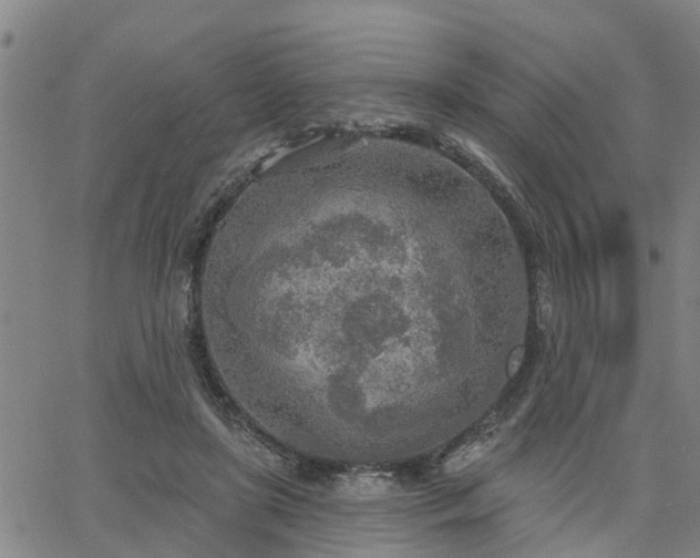 X0000063450451200601271543