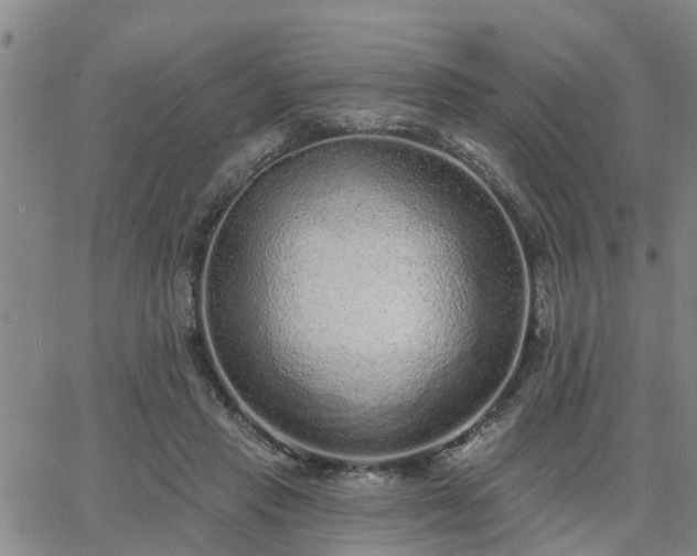 X0000063450453200601271543