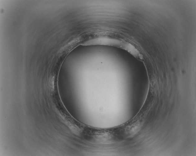 X0000063450454200601271543