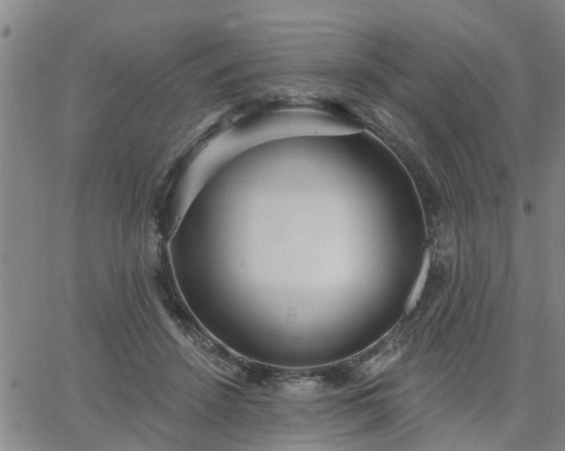 X0000063450456200601271543