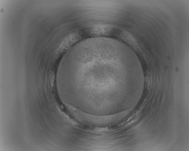 X0000063450458200601271543