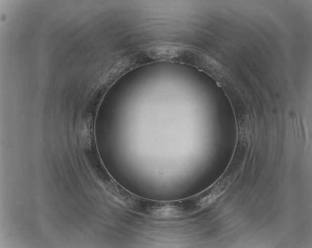 X0000063450460200601271543