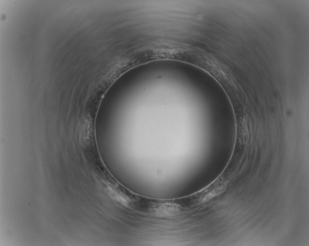 X0000063450463200601271543