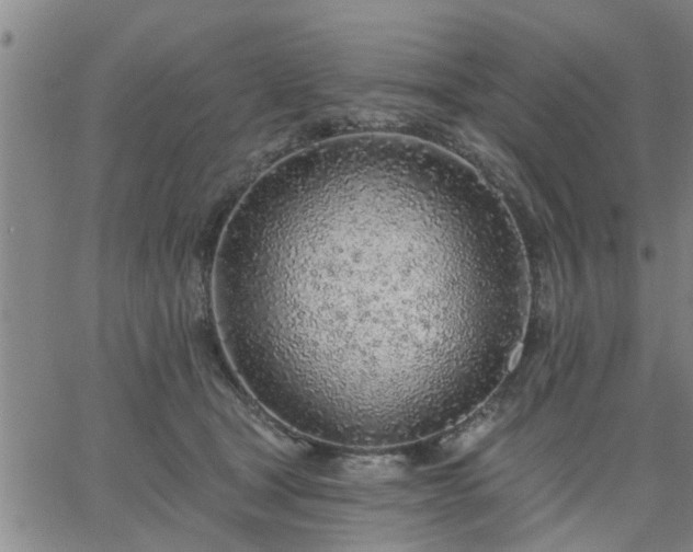 X0000063450465200601271543