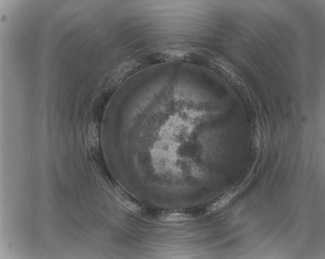 X0000063450467200601271543