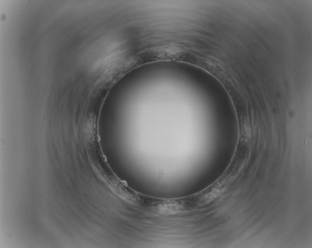 X0000063450468200601271543