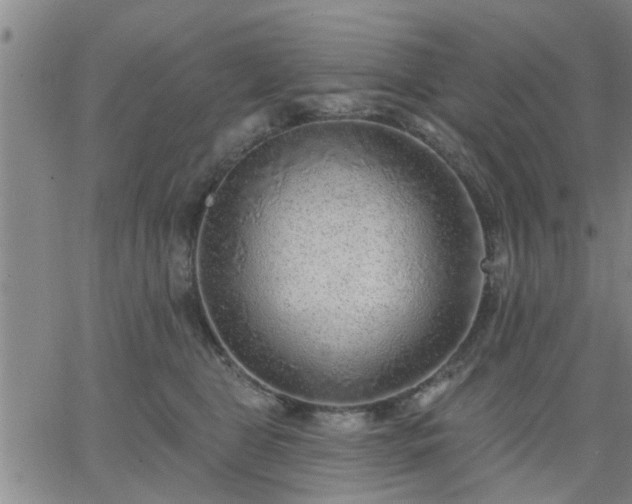 X0000063450469200601271543