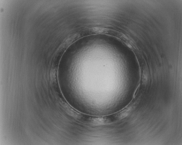 X0000063450473200601271543