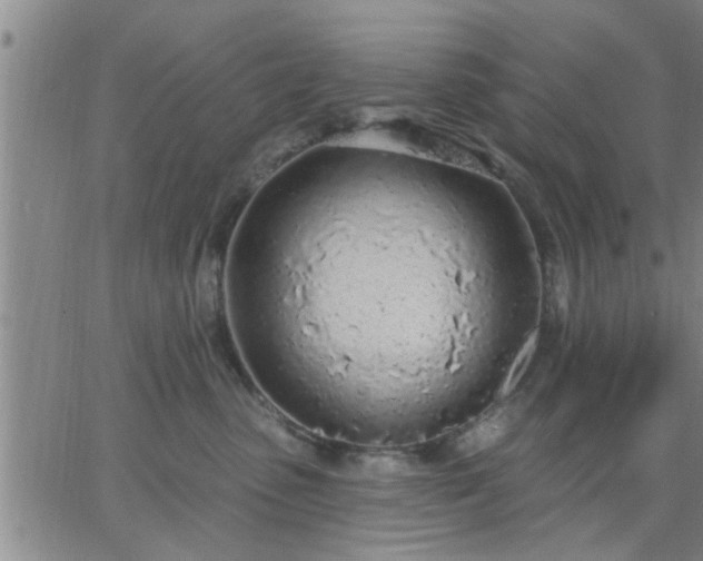 X0000063450475200601271544