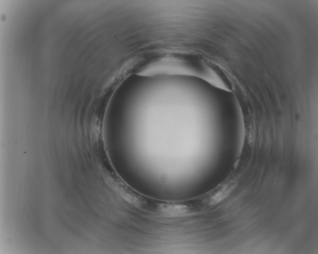 X0000063450476200601271544