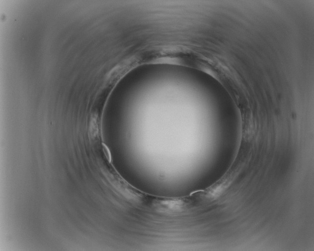 X0000063450478200601271544