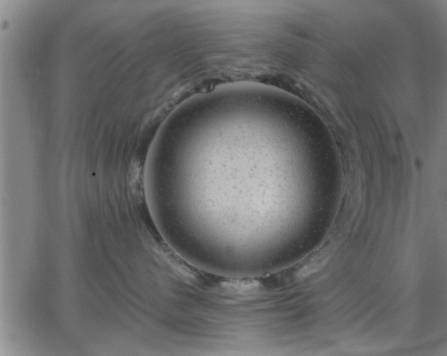 X0000063450480200601271544