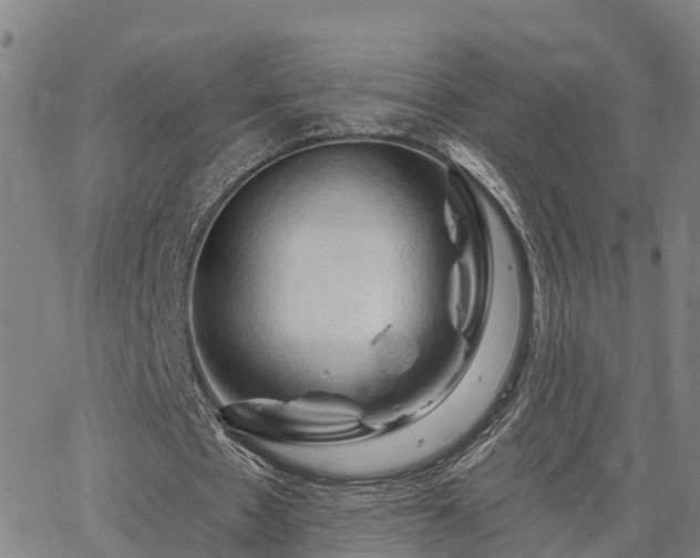 X0000063450481200601271543