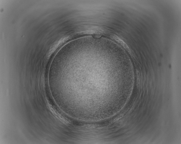 X0000063450482200601271543