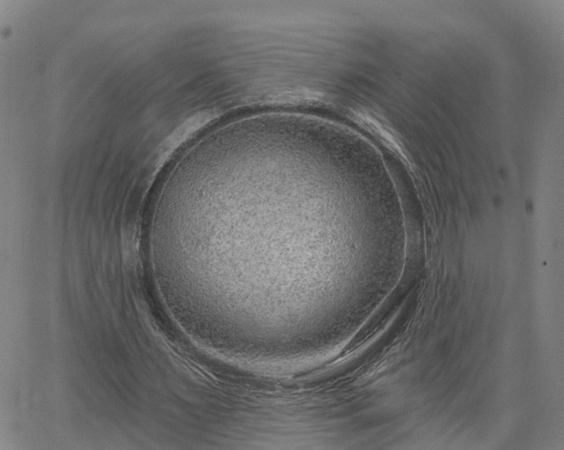 X0000063450483200601271543