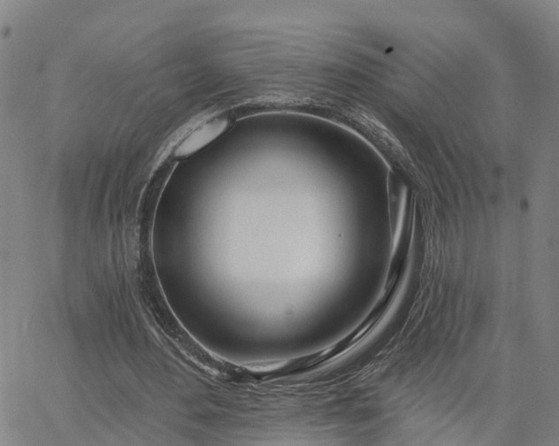 X0000063450484200601271543