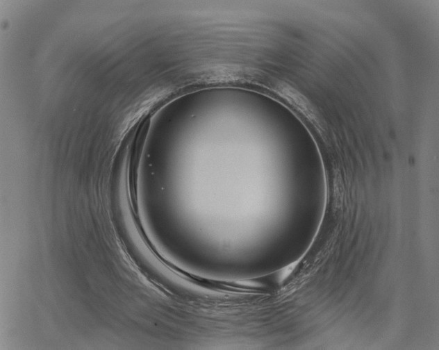 X0000063450485200601271543