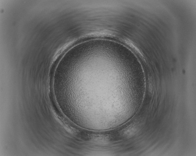 X0000063450486200601271543