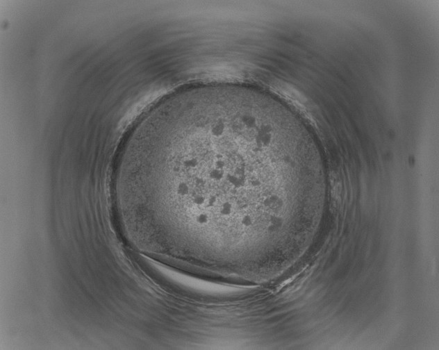 X0000063450487200601271543