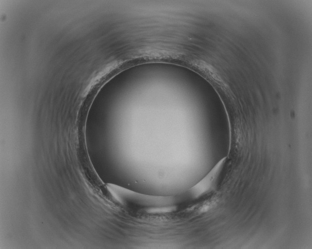 X0000063450488200601271543